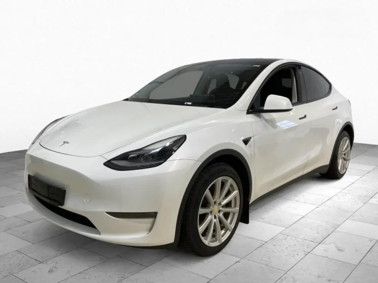 TESLA MODEL Y Long Range AWD Giga Berlin