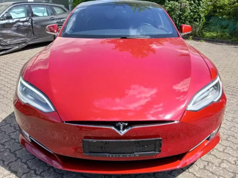 TESLA MODEL S Performance Raven 2020