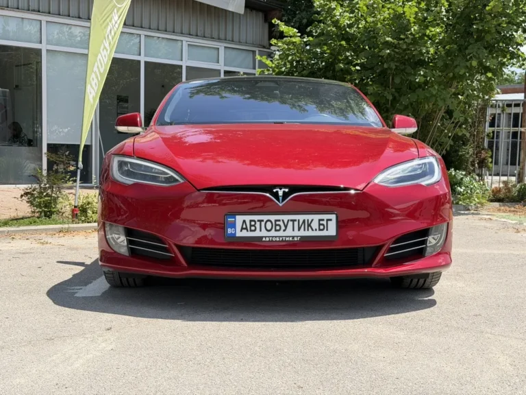 TESLA MODEL S Performance Raven 2020