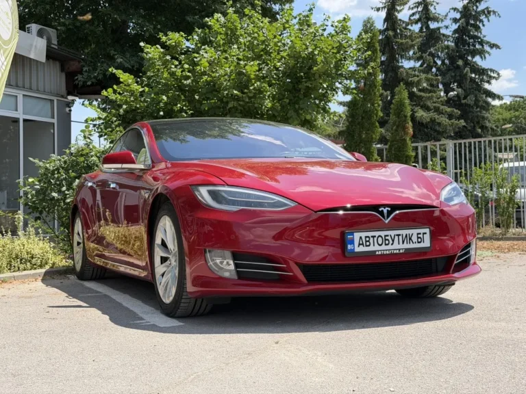 TESLA MODEL S Performance Raven 2020