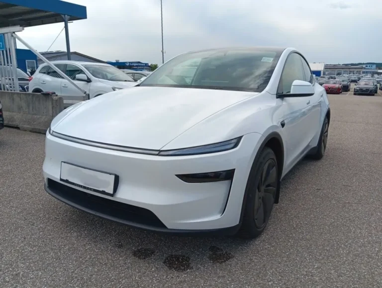TESLA MODEL Y Premium Maximum Range AWD