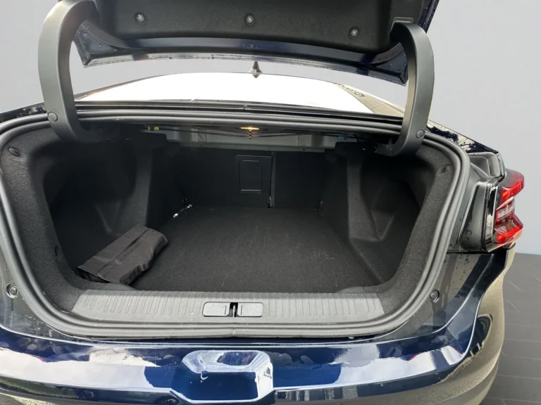 Citroen C4X MAX