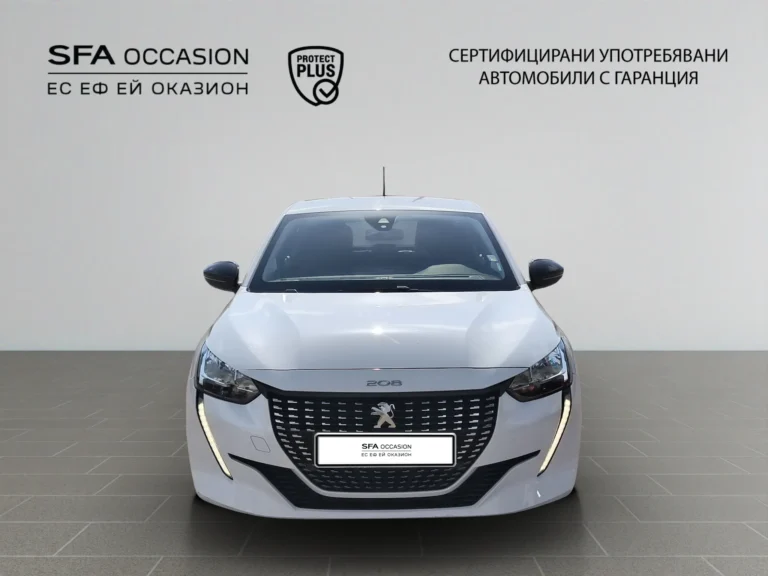 Peugeot 208 New Line Up ACTIVE PACK 1.2 PureTech 75 BVM5 EURO 6.4