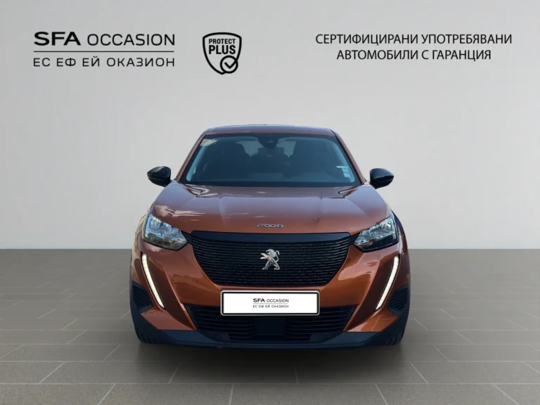 Peugeot 2008 ACTIVE 1.2 PureTech 100 EURO6