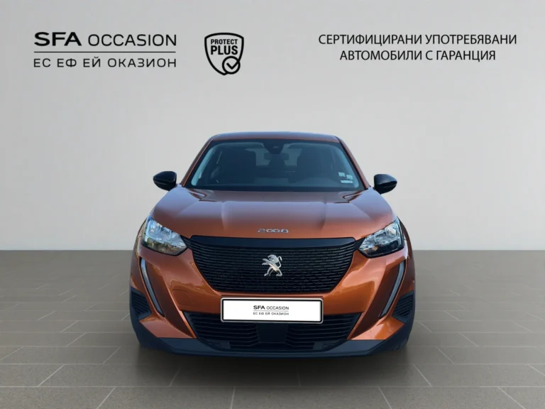 Peugeot 2008 ACTIVE 1.2 PureTech 100 BVM6 EURO6