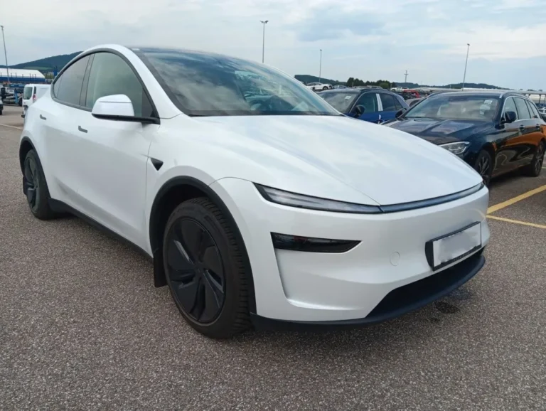 TESLA MODEL Y Premium Maximum Range AWD