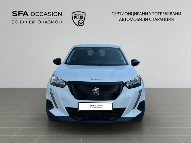 Peugeot 2008 New Line Up ACTIVE 1.2 PureTech 100 BVM6 EURO6
