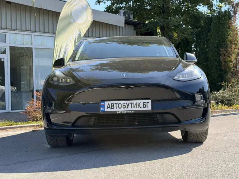 TESLA MODEL Y Long Range AWD/ТЕГЛИЧ