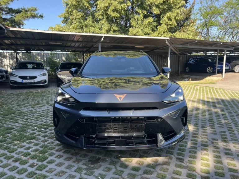 Cupra Formentor 2.0 TSI 333 к.с VZ/Akrapovic/Matrix LED
