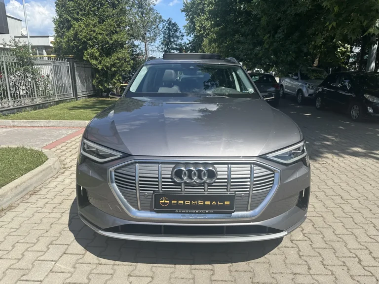 Audi e-tron 50