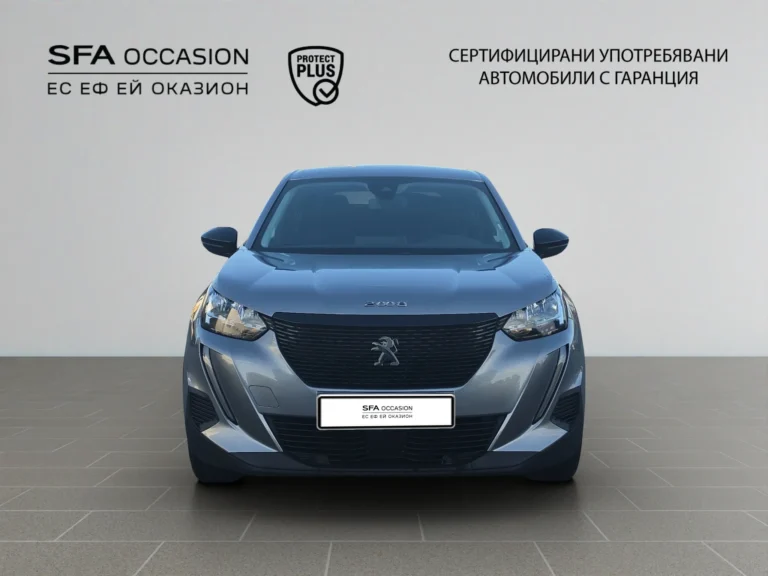 Peugeot 2008 New Line Up ACTIVE 1.2 PureTech 100 BVM6 EURO6