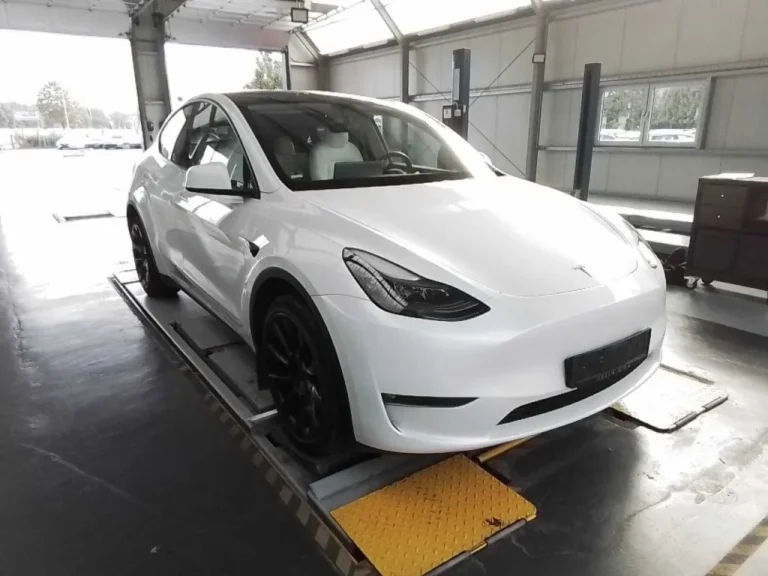 TESLA MODEL Y Long Range AWD/ТЕГЛИЧ