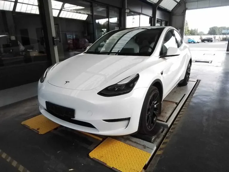 TESLA MODEL Y Long Range AWD/ТЕГЛИЧ