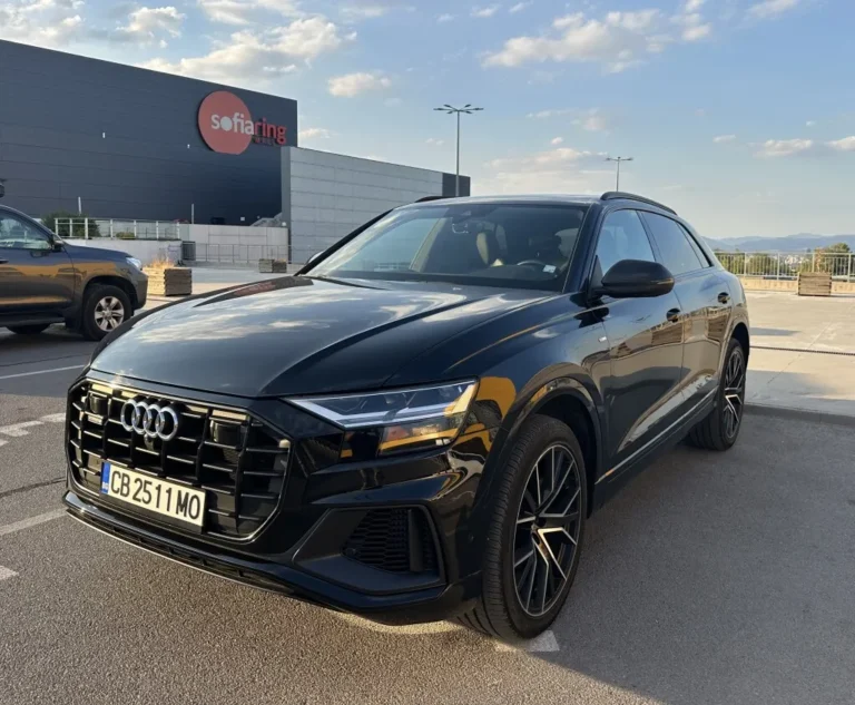 AUDI Q8 3.0 TFSI/S-LINE/Black-Optics/360 Camera